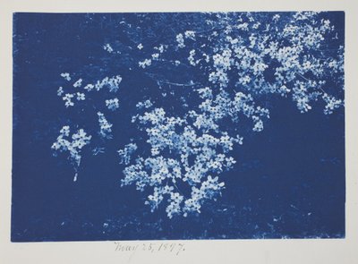 Namnlös, 25 maj av Frederick K. Coulson