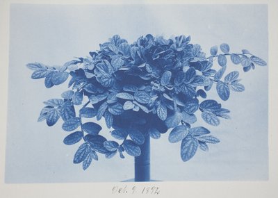 Namnlös, 9 oktober av Frederick K. Coulson
