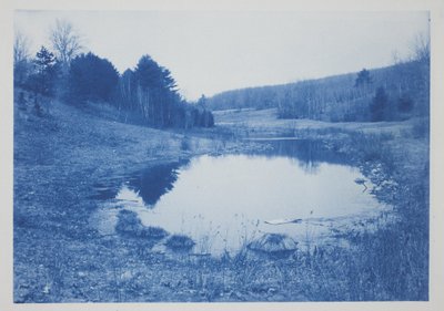 Utan titel, sent 1800-tidigt 1900-tal (cyanotyp på krämvävt papper) av Frederick K. Coulson
