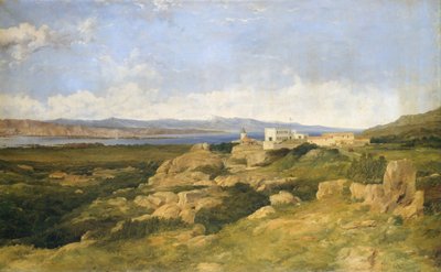 swedish av Frederick Richard Lee