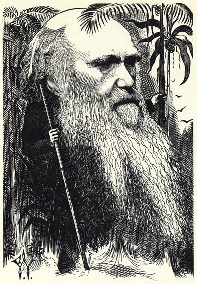 Charles DARWIN av Frederick Waddy