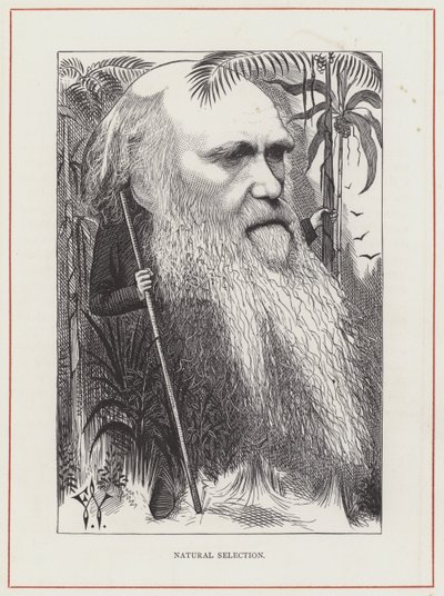 Charles Darwin, Naturligt urval av Frederick Waddy