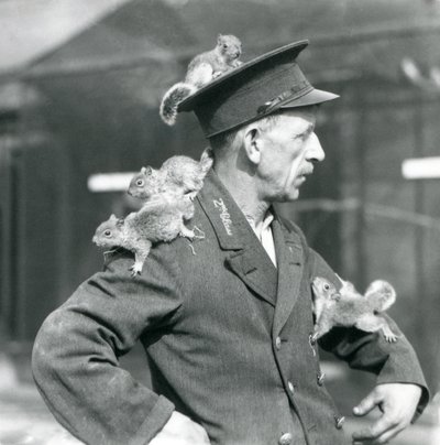 En andraklassvakt med fyra unga grå ekorrar som klättrar på sin uniformshatt och jacka, London Zoo av Frederick William Bond