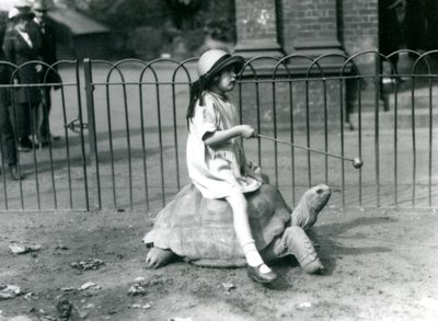 En liten flicka, Betty, håller fram en pinne med ett äpple på änden för att leda jättesköldpaddan hon rider, London Zoo, 1924 av Frederick William Bond