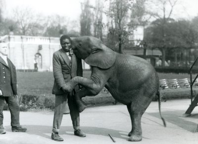 En ung afrikansk pygméelefant står på bakbenen för att omfamna sin afrikanska tränare, medan målvakten tittar på, London Zoo, juli 1925 av Frederick William Bond