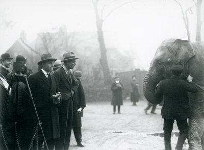 En indisk elefant, möjligen Sundermalah, som deltar i en extern sändning från London Zoo, 1925 av Frederick William Bond