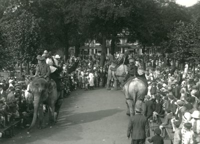 Elephant Rides, med tre asiatiska elefanter som tittade på av massor av åskådare på London Zoo i augusti 1926 (s/v foto) av Frederick William Bond