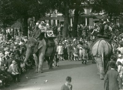 Elephant Rides, med två asiatiska elefanter som tittade på av massor av åskådare på London Zoo i augusti 1926 (s/v foto) av Frederick William Bond