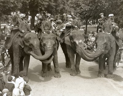 Elefantridning på London Zoo, juli 1936 av Frederick William Bond