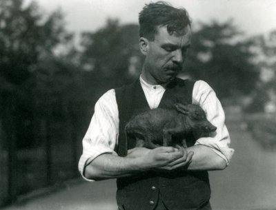 Keeper Harry Warwick vaggar ett vårtsvinsbarn i famnen på London Zoo, augusti 1922 av Frederick William Bond