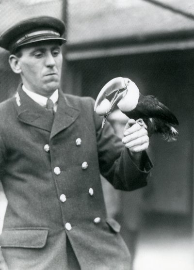 Keeper, Thomas Raggett, håller en rödnäbbad tukan med ett ägg i munnen på London Zoo 1924 av Frederick William Bond