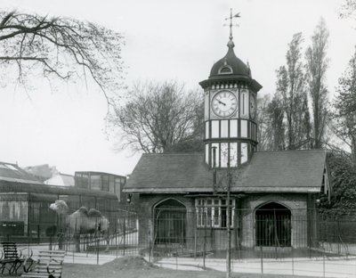 Kamelhuset. London zoo av Frederick William Bond