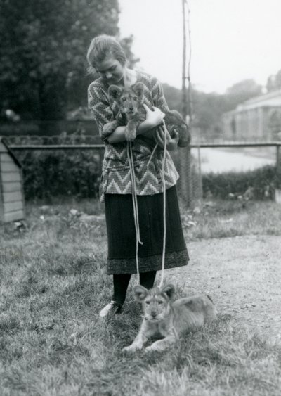 Två lejonungar med en ung kvinna på London Zoo i augusti 1925 av Frederick William Bond