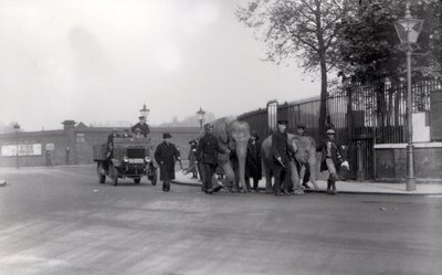 Att gå ett par elefanter från hamnen 1923 till ZSL London Zoo, sista gången detta gjordes av Frederick William Bond