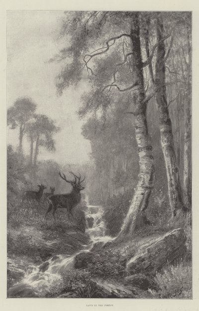 Gryning i skogen av Frederick William Hayes