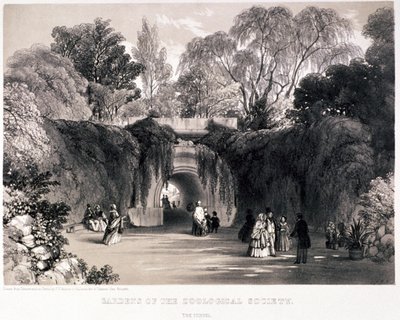 Zoologiska trädgårdar, Regent