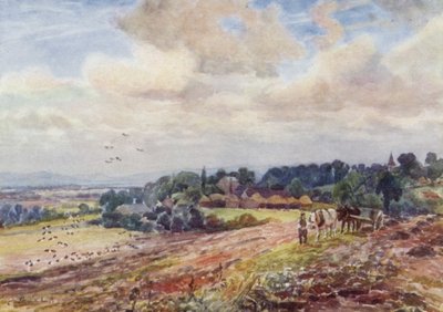 Hungriga Grafton av Frederick William Newton Whitehead