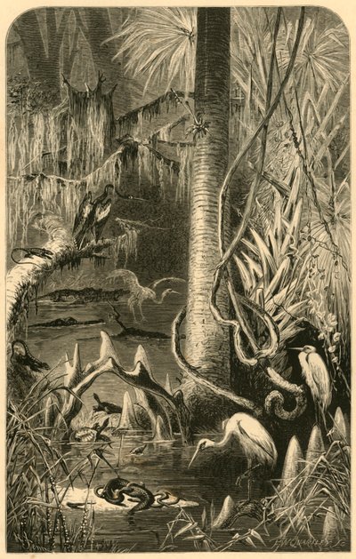 "A Florida Swamp", 1872. av Frederick William Quartley