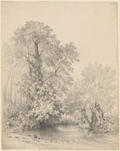 Träd vid floden vid Castle Bromwich av Frederick William Watts