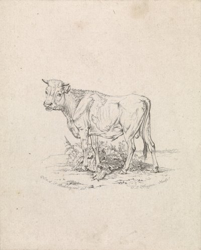 Spår av Frederik Lodewijk Huygens