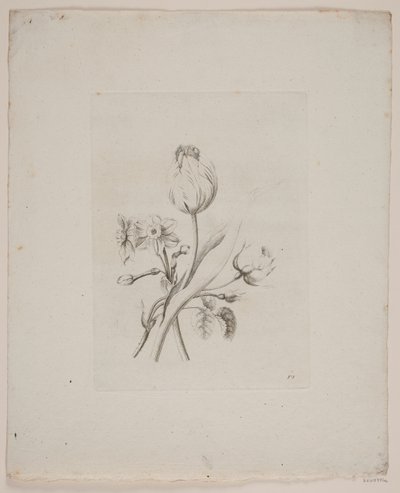 Blommotiv av Frederik Schepelern