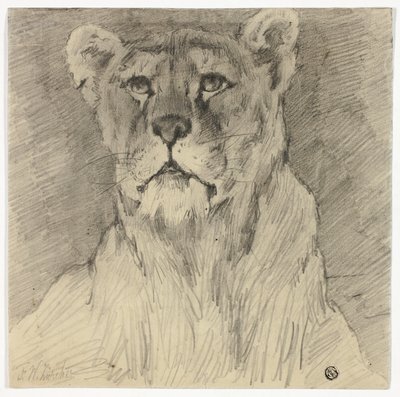 Framsidan av sittande lejoninna av Frederik William Zurcher