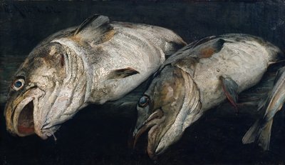 Torsk av Fredrik Kolstoe