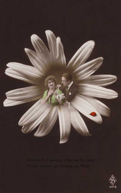 Ett ungt par i mitten av en blomma med nyckelpiga (tonat fotocollage) av French Photographer