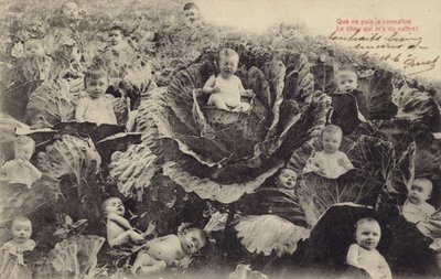 Bebisar i kållappen (fotocollage) av French Photographer