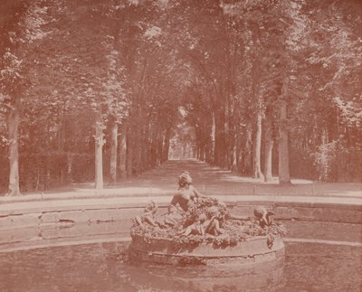 Basin of Flora, Versailles Park (s/v foto) av French Photographer