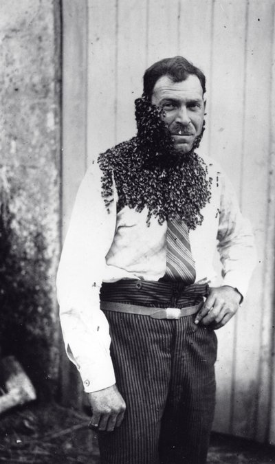 Biodlaren Angel Peuchaud täckt med bin i Angouleme, Charentes, Frankrike av French Photographer