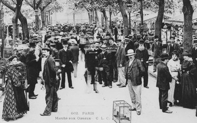 Fågelmarknad, Paris av French Photographer