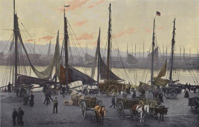 Boulogne-sur-Mer, Förberedelser för sillfiske av French Photographer
