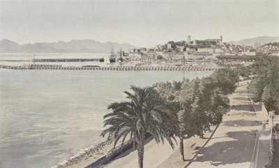 Cannes, hamnen och gamla stan, Boulevard de la Croisette av French Photographer
