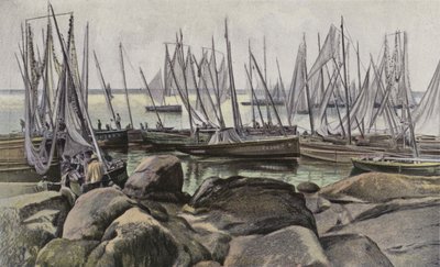 Concarneau, sardinfiskebåtar av French Photographer
