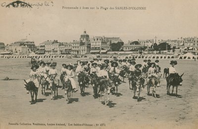 Åsnor på stranden vid Les Sables-dOlonne i västra Frankrike. Vykort skickat 1913. av French Photographer