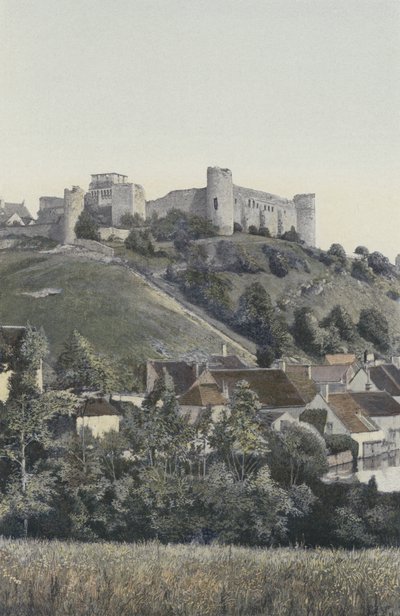 Druyes, Chateau, utsikt tagen från sjön av French Photographer