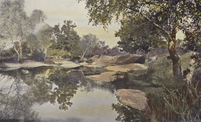 Fontainebleau, Skog, Mare de Franchard av French Photographer