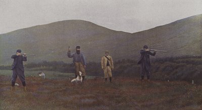 Ripeskytte i Skottland (färgfoto) av French Photographer