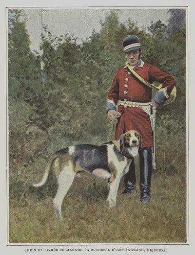 Hund och jägare i färgen på jakten på hertiginnan av Uzes, Frankrike (färgfoto) av French Photographer