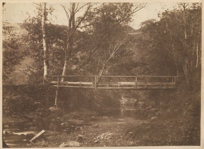 Landskap med träd och bro,ca. 1850 (foto) av French Photographer