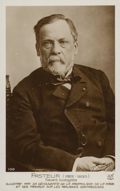Louis Pasteur (1822-1895), fransk kemist och mikrobiolog av French Photographer