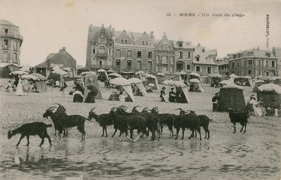 Mers - en del av stranden. Vykort skickat 1913. av French Photographer
