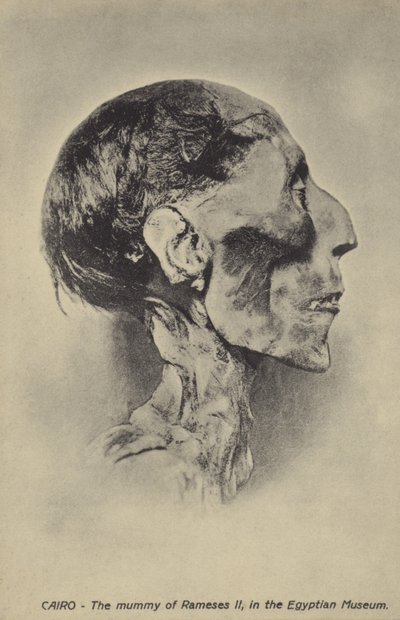 Mamma av Ramses II av French Photographer