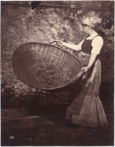 Bondekvinna med vinstkorg av French Photographer