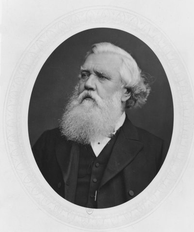 Porträtt av Henry Layard, ca 1880 av French Photographer