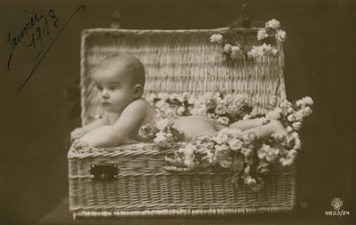 Vykort av en baby i en flätad korg med blommor, skickat i januari 1913 av French Photographer