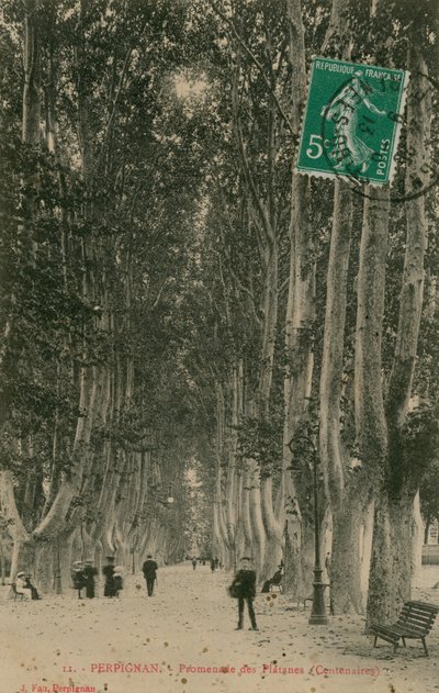 Promenad av platanerna i Perpignan. Vykort skickat 1913. av French Photographer