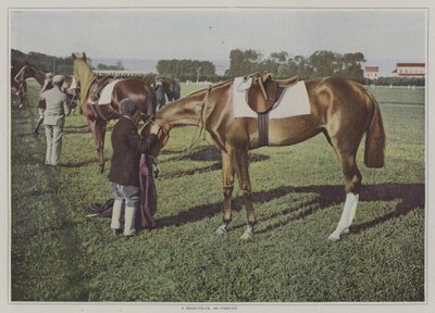 Tävlingshästar i Deauville, Frankrike (färgfoto) av French Photographer