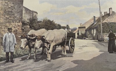 Saulieu, Ett problem i Morvan av French Photographer